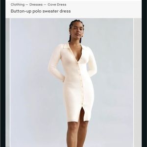 Aritzia Cove Dress